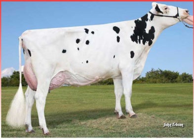 Fullsister to the GGD: S-S-I Snowman Micro VG-87