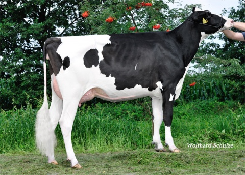 Dam: Bazhena VG-86