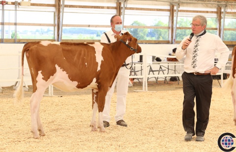 Luck-E-I Dice Autumn Red (Dice) R&W Reserve Junior Champion, Summer Invitational 2020