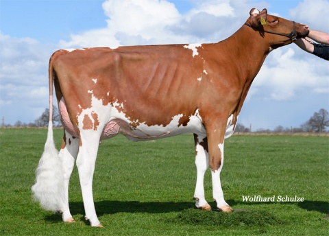 Daughter: Rosanne VG-86