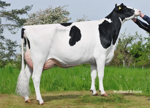 Dam: Evein EX-90