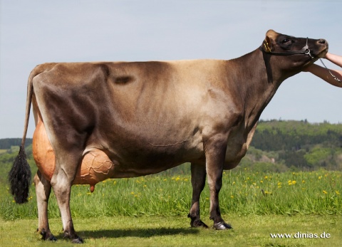 GD: Evita EX-91