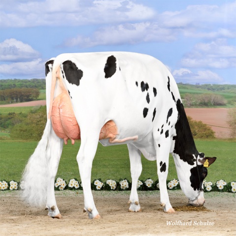 Daughter: Ina P VG-85