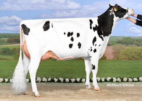 Daughter: Ina P VG-85