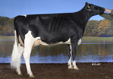 Granddam: Katinka VG-86
