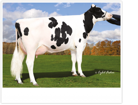 GD: OCD M Christina Aguilera VG-87