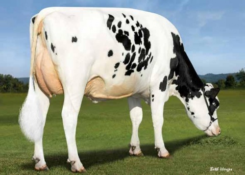 Dam: BGP Resolve Debra-ET VG-85