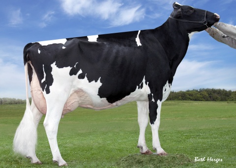 5th dam: Regancrest S Chassity